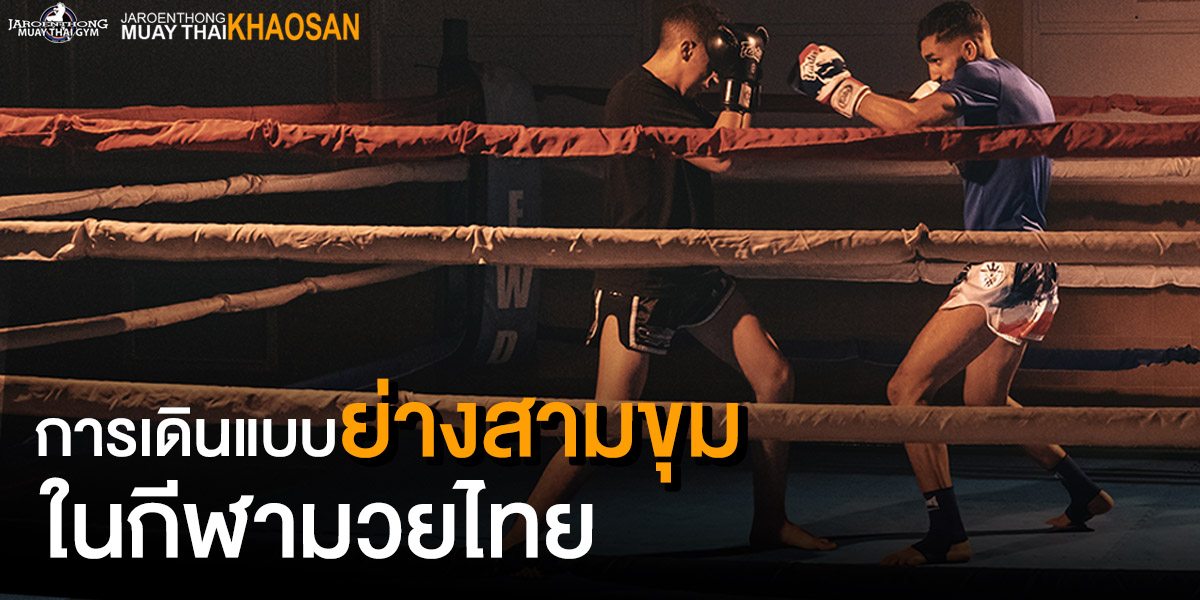 การเดินแบบ ย่างสามขุม ในกีฬา มวยไทย ( Muay Thai )
