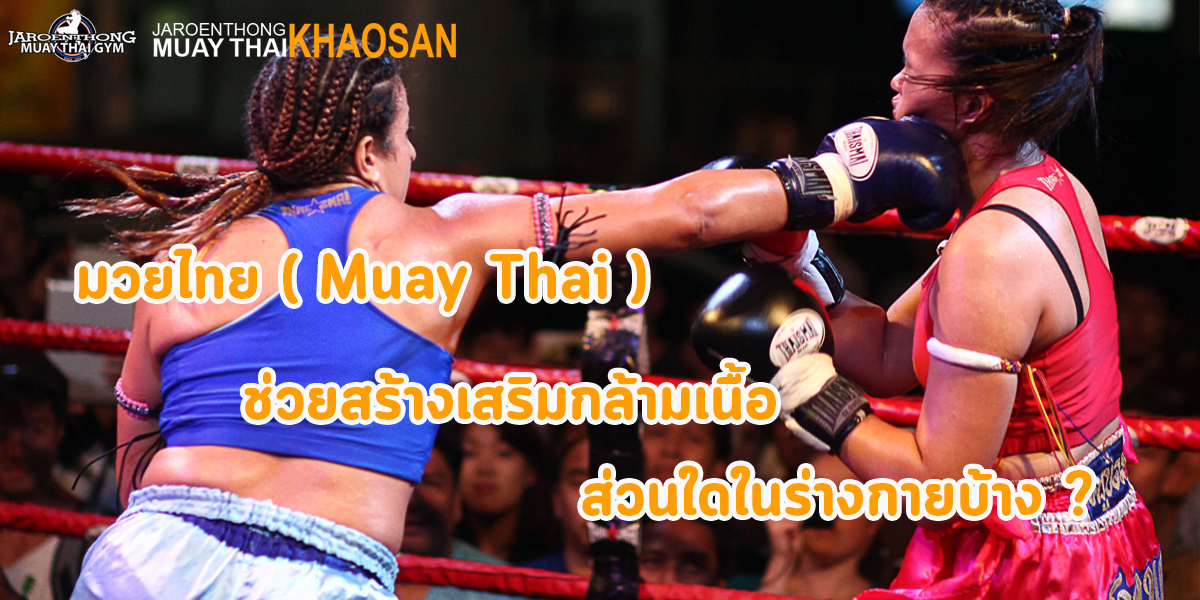 มวยไทย ( Muay Thai ) ช่วยสร้างเสริมกล้ามเนื้อ ส่วนใดในร่างกายบ้าง