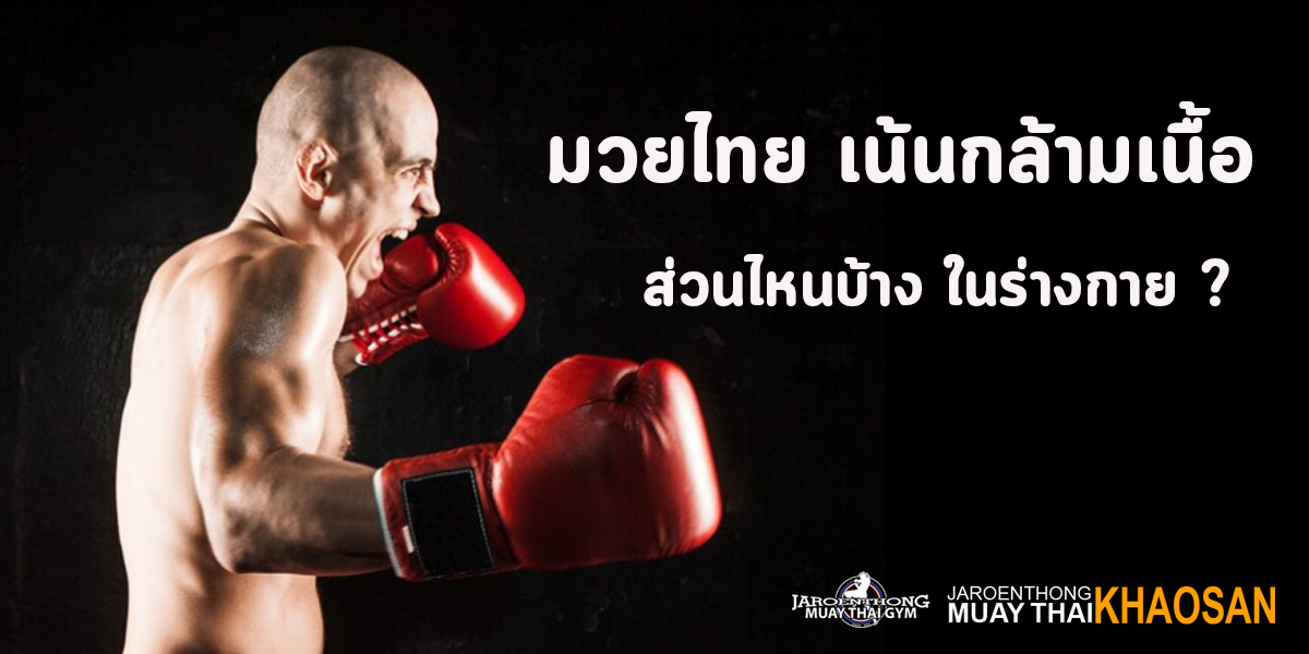 มวยไทย ( Muay Thai ) เน้น กล้ามเนื้อ ส่วนไหนบ้าง ในร่างกาย