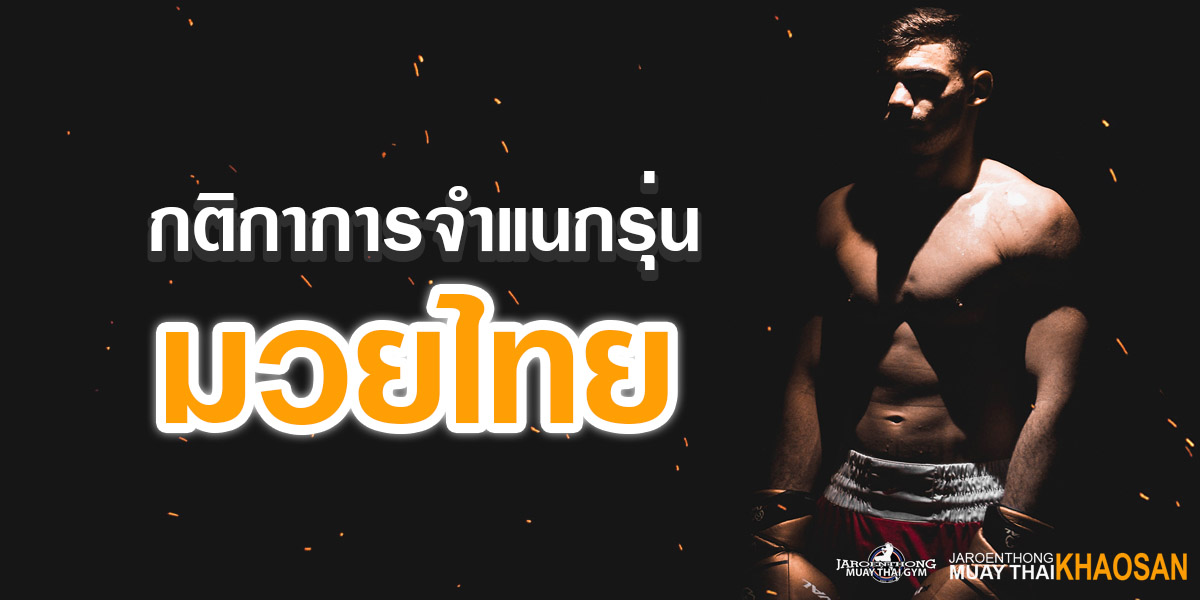 กติกา การจำแนกรุ่น มวยไทย ( Muay Thai )