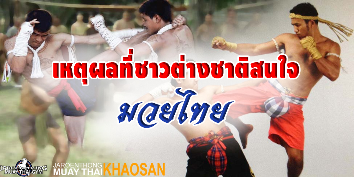 เหตุผลที่ชาวต่างชาติสนใจ มวยไทย ( Muay Thai ) 